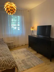 Apartament 2 camere de închiriat – Șoseaua Națională | 7 min Palas & Palas Campus - foto 7