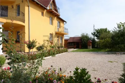 RECO Casa / Pensiune de inchiriat in Sanmartin – 8 camere - foto 2