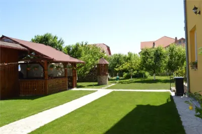 RECO Casa / Pensiune de inchiriat in Sanmartin – 8 camere - foto 3