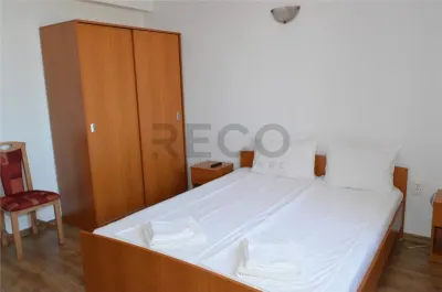 RECO Casa / Pensiune de inchiriat in Sanmartin – 8 camere - foto 8