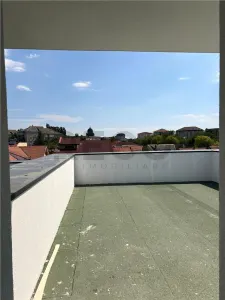 RECO- Duplex, zona Cantemir, 376mp - foto 14