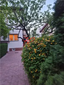 Vanzare teren cu 2 vile Tei - langa Parc - Bucuresti