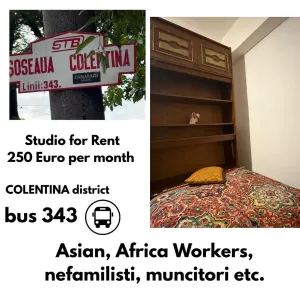 Studio  Colentina - Bucuresti