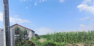 Teren intravilan de vanzare Buturugeni,,20 km distanta de Bucuresti - Buturugeni