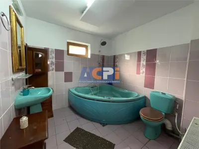 Cabana/Vila de inchiriat Valea Budului, Margineni - foto 20