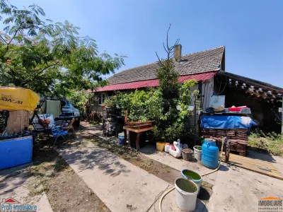 Casa cu 2 camere si anexe in Simand cu teren de 1465 mp - foto 1
