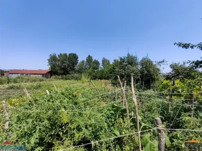 Casa cu 2 camere si anexe in Simand cu teren de 1465 mp - foto 11