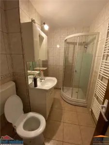 Apartament 2 camere decomandat zona Podgoria-Malul Muresului - foto 10
