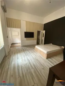 Apartament 1 camera Ultracentral - Arad