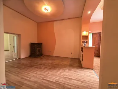 Apartament etaj 1 ultracentral langa Primaria Arad - foto 5