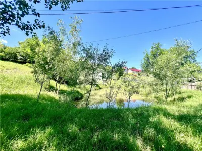 Casă individuala 2 camere in Perieni- Probota  cu iaz propriu - foto 2