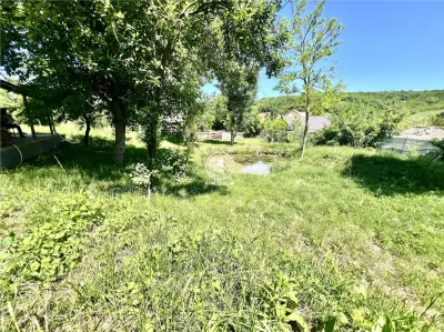 Casă individuala 2 camere in Perieni- Probota  cu iaz propriu - foto 15