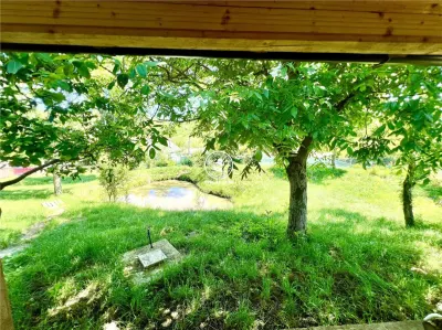 Casă individuala 2 camere in Perieni- Probota  cu iaz propriu - foto 5