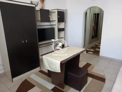 Apartament 1 Camera de vanzare Podu Ros - foto 1