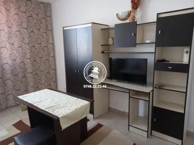 Apartament 1 Camera de vanzare Podu Ros - foto 2