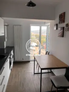 Apartament 1 camera Tătărași - foto 7