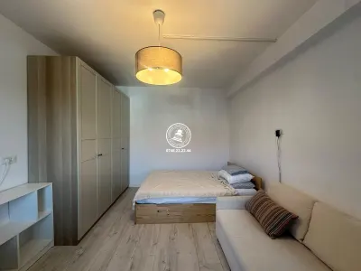 Apartament 1 camera de vanzare, 31 mp, Valea Lupului - Iasi
