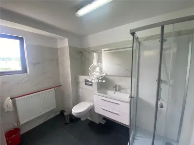 Spatiu de birou  de inchiriat  Tg Cucu - Podul de Fier, - foto 8