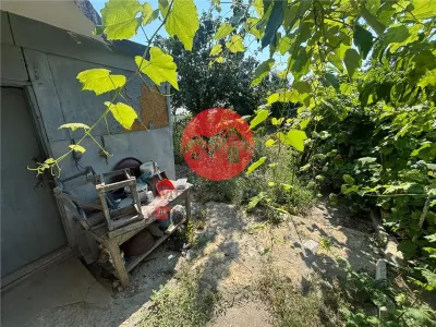 Casa batraneasca de vanzare cu teren si potential excelent in Tulcea - foto 8