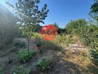 Casa batraneasca de vanzare in Iazurile, teren 1.257 mp - foto 5
