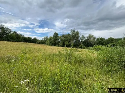 Teren pentru dezvoltare rezidentiala - Falticeni, jud. Suceava - foto 4
