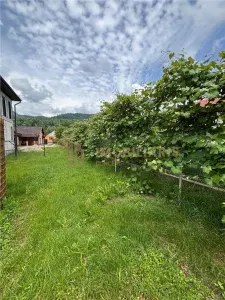 Proprietate cu 2 case in aceeasi curte si teren 24 ari - foto 16