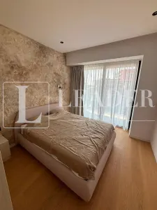 Inchiriere apartament I Herastrau - foto 9