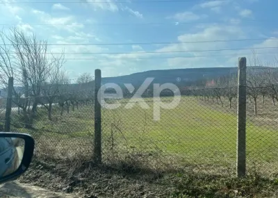 Teren intravilan de vânzare – 3.392 mp – Gorganu, Călinești - foto 4