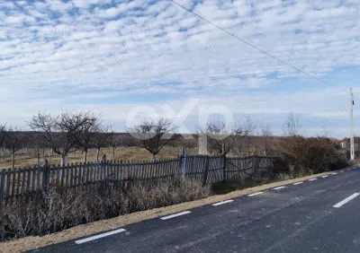 Vindem teren pentru casă și livadă de prun - foto 10
