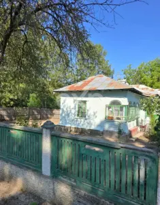 Casă + teren 20.000 mp Urluieni (Bârla) – deschidere mare, livadă și vie - foto 4
