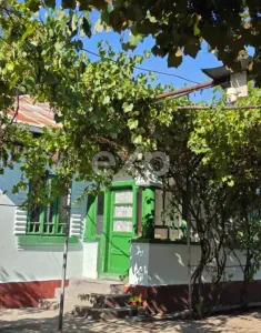 Casă + teren 20.000 mp Urluieni (Bârla) – deschidere mare, livadă și vie - foto 5