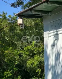 Casă + teren 20.000 mp Urluieni (Bârla) – deschidere mare, livadă și vie - foto 10