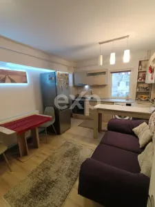 Apartament 3 camere Eremia Grigorescu | Etaj 1/4 - foto 3