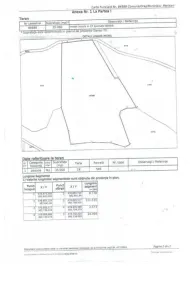 Teren extravilan - pasune 3.5 HA pretabil plantatii - foto 3