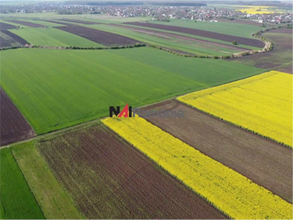Vanzare Teren Central, Moara Vlasiei - Moara Vlasiei