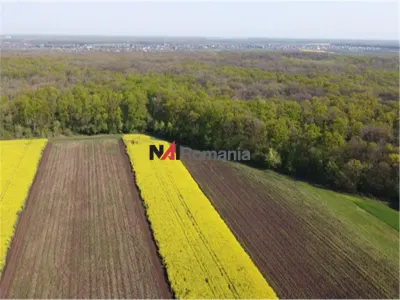Vanzare Teren Central, Moara Vlasiei - foto 3