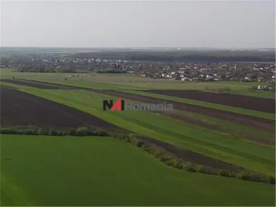 Vanzare Teren Central, Moara Vlasiei - Moara Vlasiei