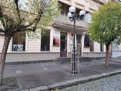 Central-Spatiu Comercial de 150mp langa Teatru M.Filotti - foto 4