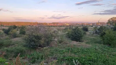 Teren 14100mp Braila zona Apan - foto 4