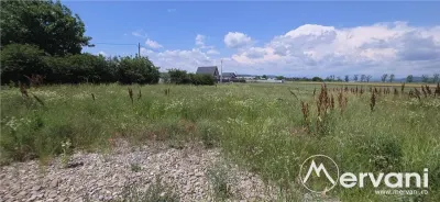 Hala de vanzare in Floresti - foto 6