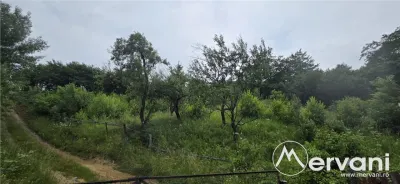 Teren intravilan 4000 mp in Breaza, Nistoresti - foto 7