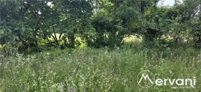 Teren 3026 de vanzare in Brebu - foto 4
