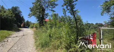 Teren 4.519 mp intravilan de vanzare in Breaza - foto 4