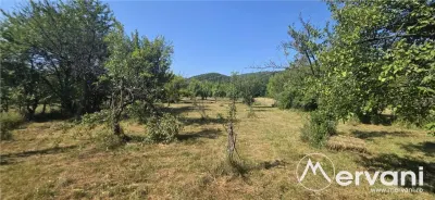 Teren intravilan de vanzare 3375 mp in Brebu - Brebu