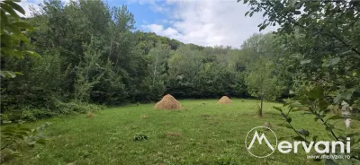 Teren de vanzare 15000 mp in Telega - Telega