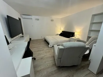 Apartament 1 cameră - central - 430€ negociabil - foto 2