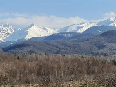 Teren intravilan 2500mp  pe Valea Avrigului,optim casa de vacanta - foto 3