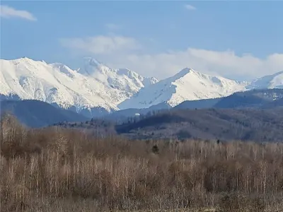 Teren intravilan 2500mp  pe Valea Avrigului,optim casa de vacanta - foto 7