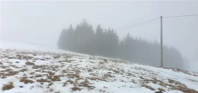 Teren 5.000 mp in Păltiniș Zona Vălari (Priveliște Panoramică & Intimitate) - foto 7