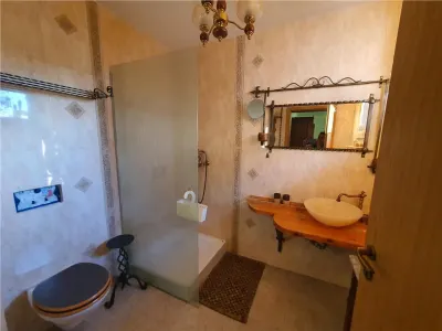 Vilă exclusivista in Cisnădie - oază de liniște și aer curat - foto 17